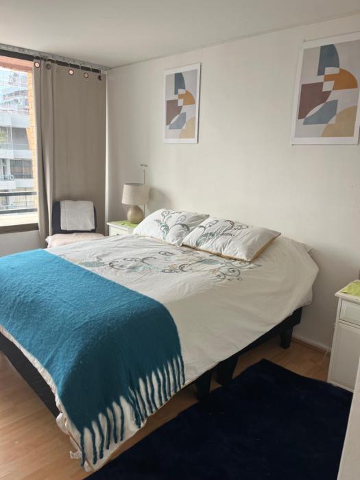 Hermoso y espacioso depto en Providencia 3D y2B