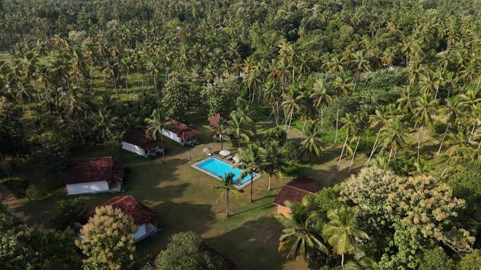 Ambarella Lodge - Katunayake