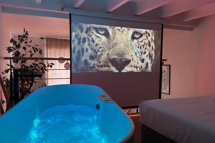 Loft with balcony and spa bath facing the opera house