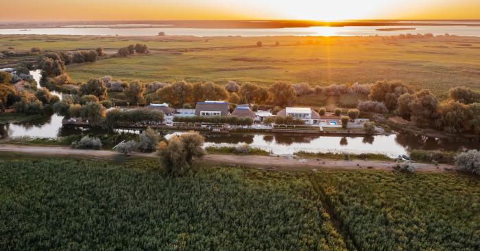 WPO - WILD PIKE OASIS