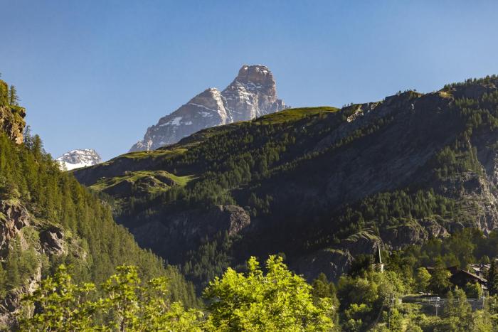 HelloCHALET - Cozy Bear - Panoramic Ski-in, Ski-Out Apartment in Cervinia