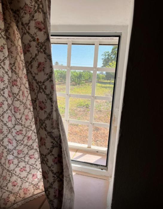 Vendrisine lacco rosso 1436