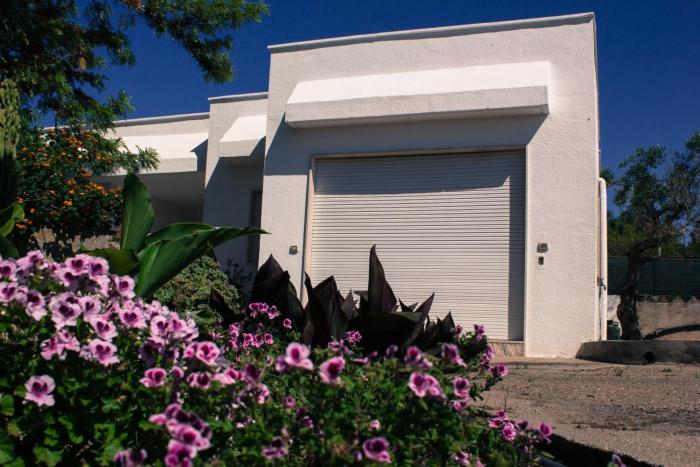 Villeriunite - Villa Ginestra