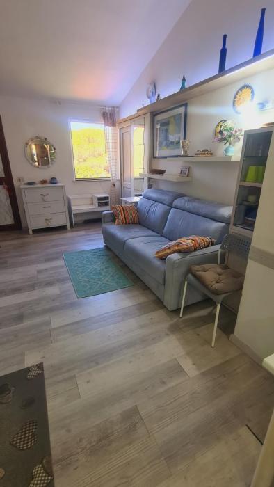 Stella di Coda Cavallo