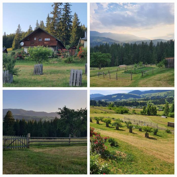 Сімейний будинок