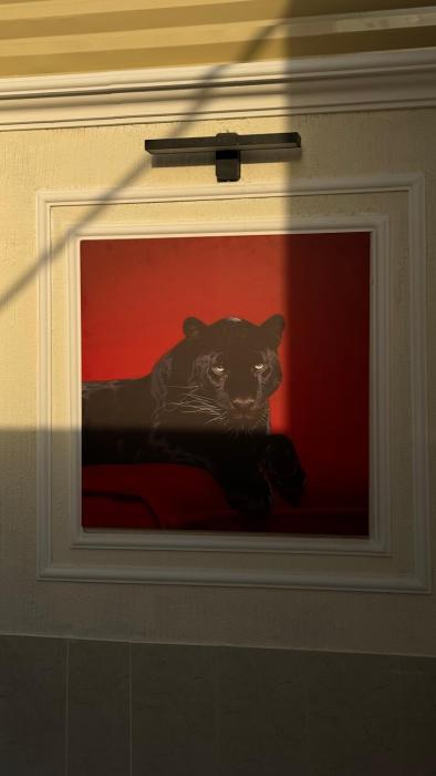 شقة بمدخل خاص ومستقل حي الربيع