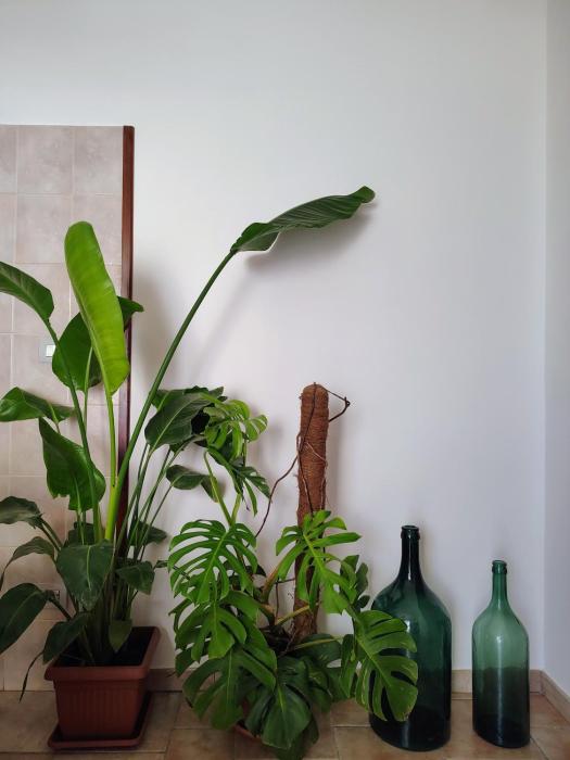 Nostos B&B - Back to the Sea