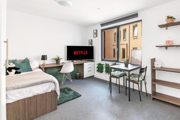 Modern City Studio w Desk and TV