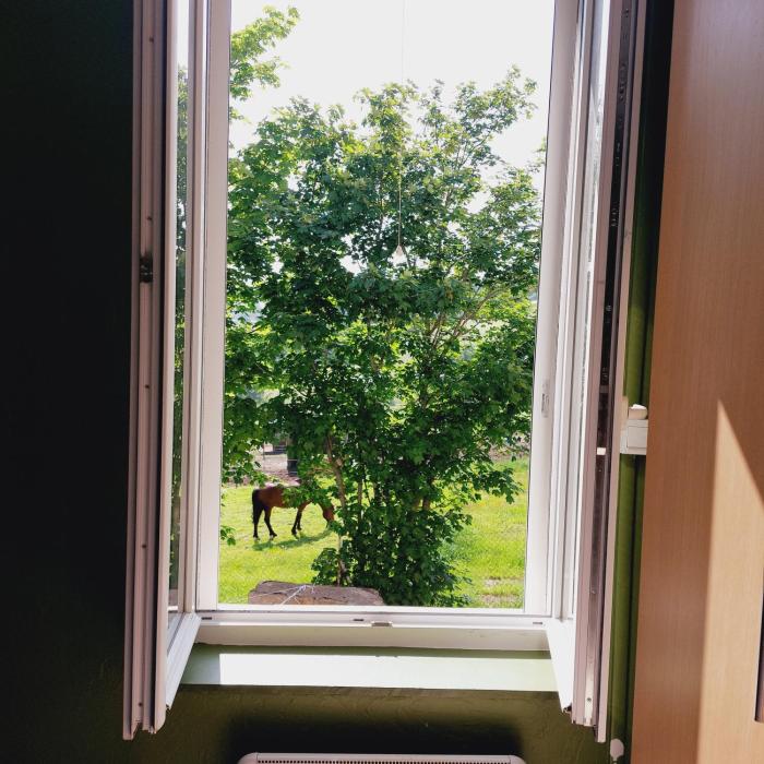 Domaine Fontcouverte