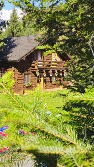 Cabana Daria Arieseni