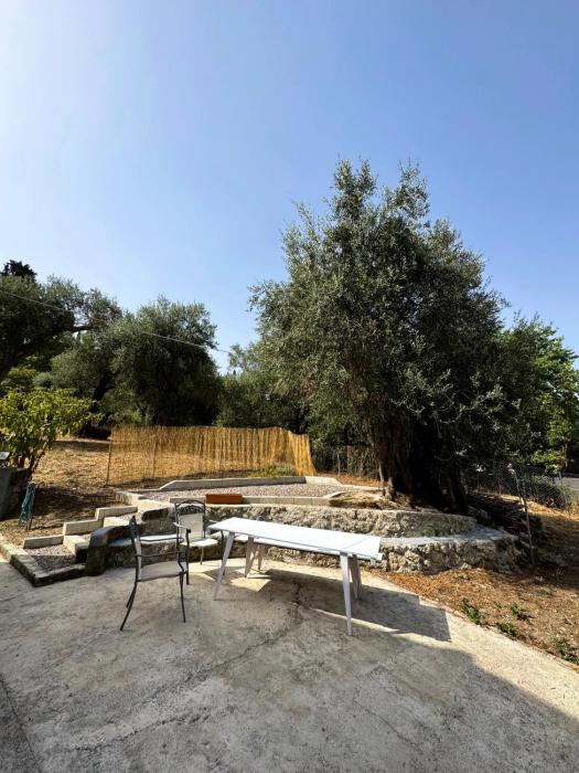 Olive Spell Gastouri House