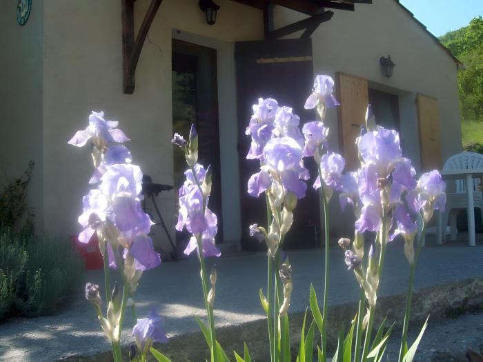 Location Gîte Les Iris