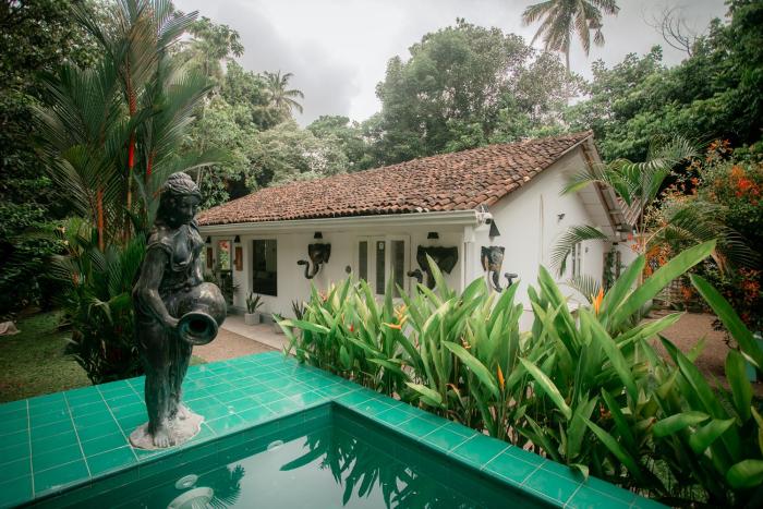 Jungle Villa Retreat