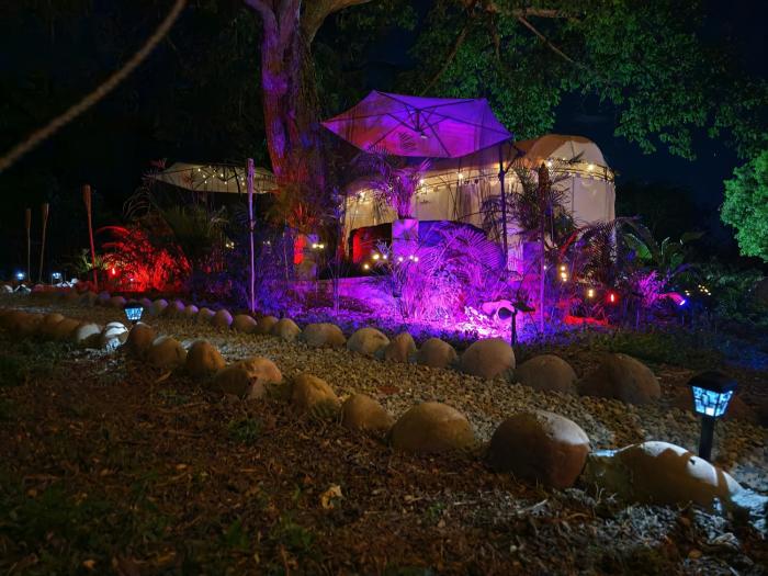 Novaglamp Alma, amor y bosque