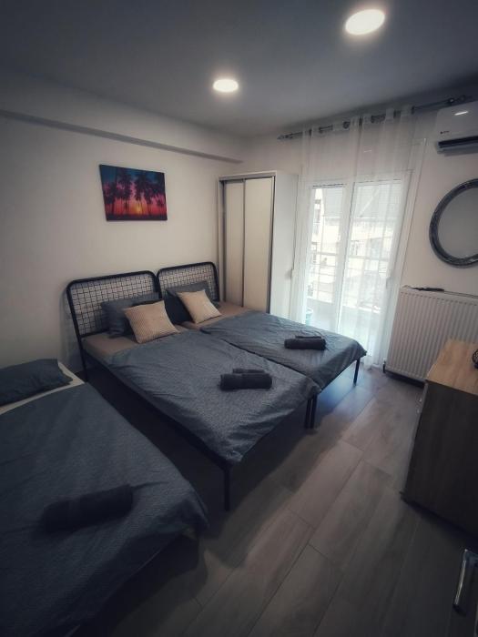 Iris Suite 3