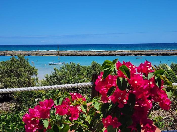 Apto Beira Mar-Muro Alto-Porto de Galinhas-Polin