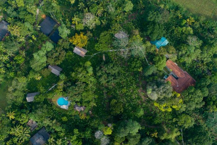 Ilukketiya Tea Chalets