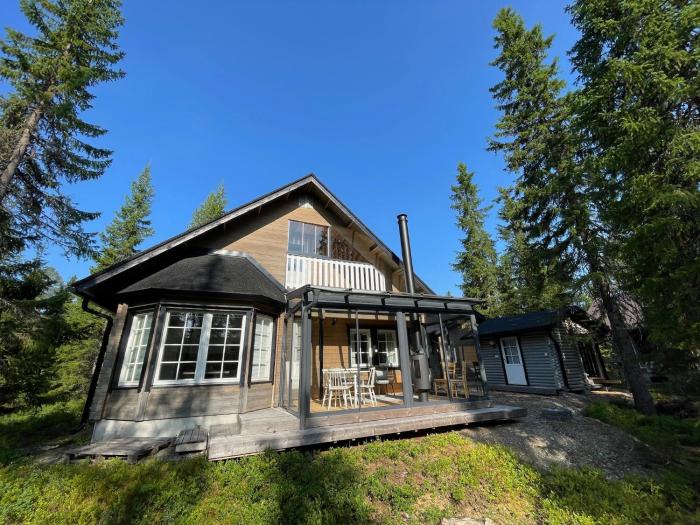 Mörrimöykky Iso-Syöte hirsimökki