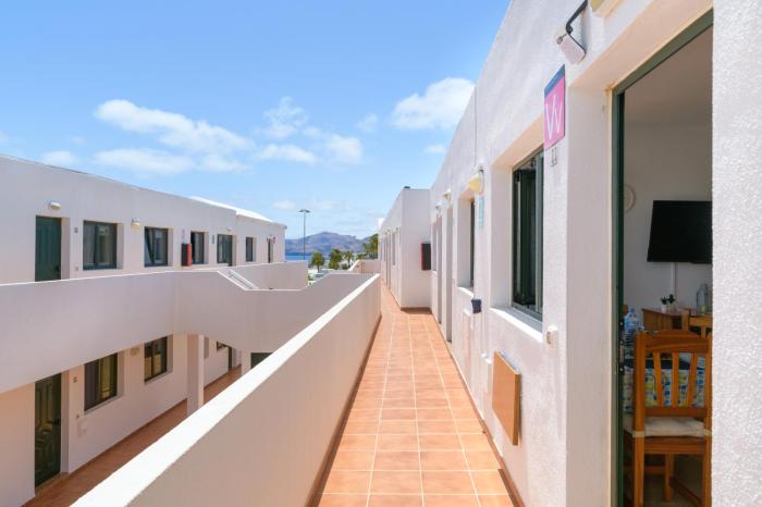 Bella Vista - Cactus