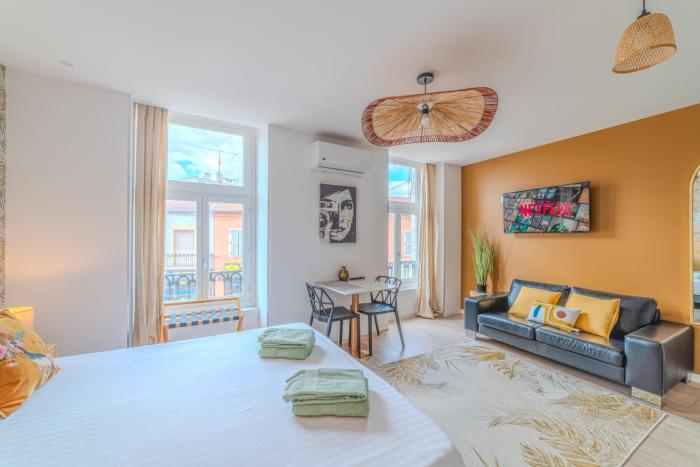 Mimosa Roanne centre-ville - Parking & Clim