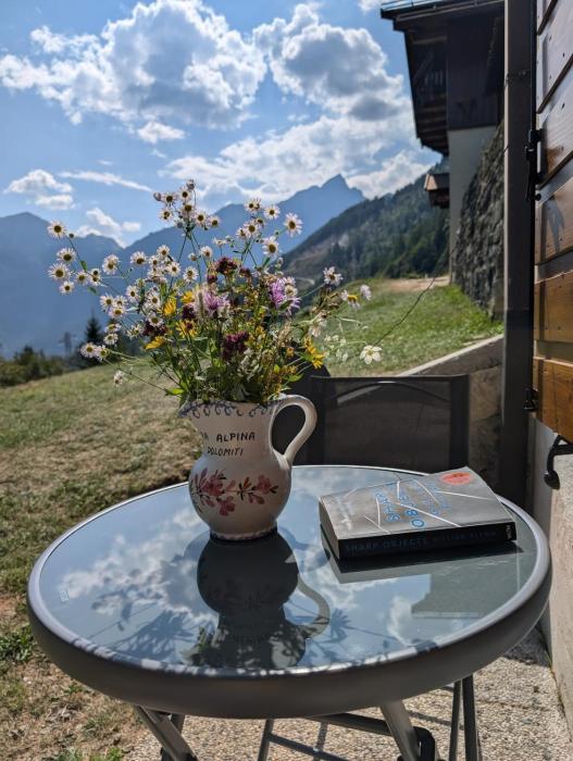 Casa Cecilia Dolomiti - scenic views, pets welcome