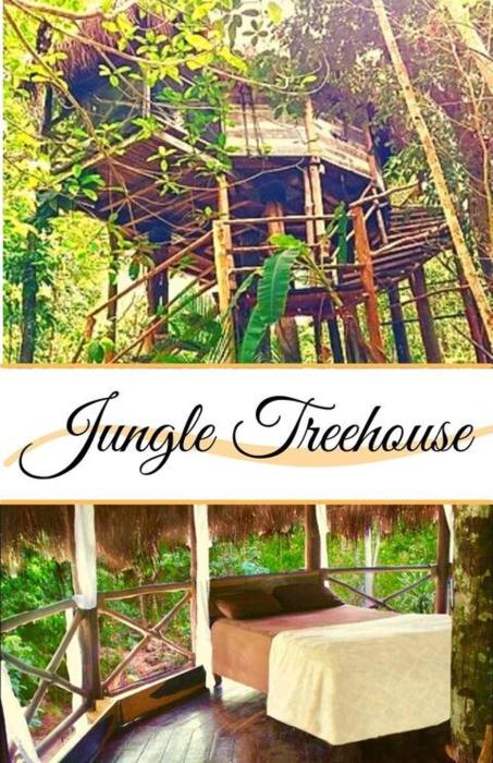Exclusive Treehouse and Cenote - Sweet Jungle Dreams
