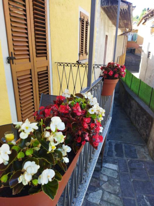 Casa Maria
