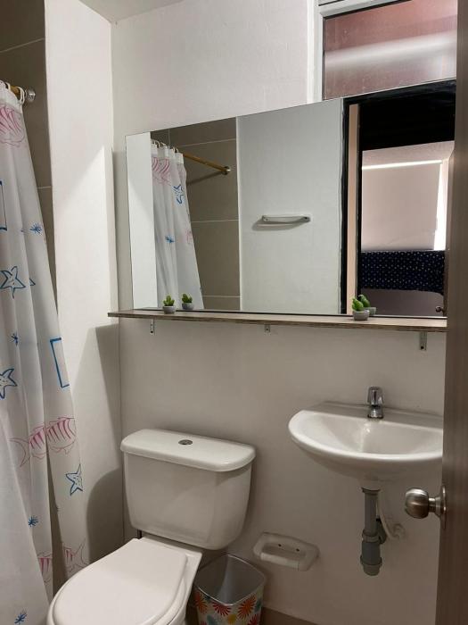 apulo jacana del lago