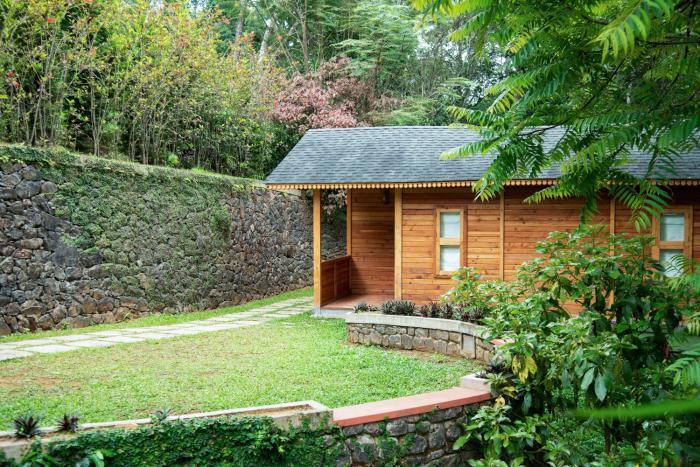 Misty Mountain Experience