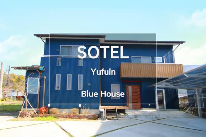 Blue House