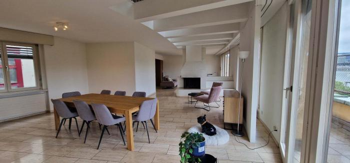 Penthouse with jacuzzi, sauna and rooftop