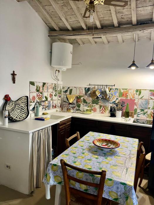 Casa Oliva Casperia, house & private olive grove