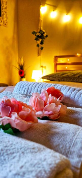 Baciati dal Sole-Self check-in