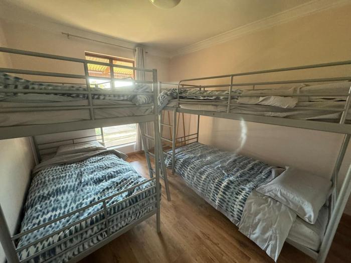 Sandy Paws and Salty Air