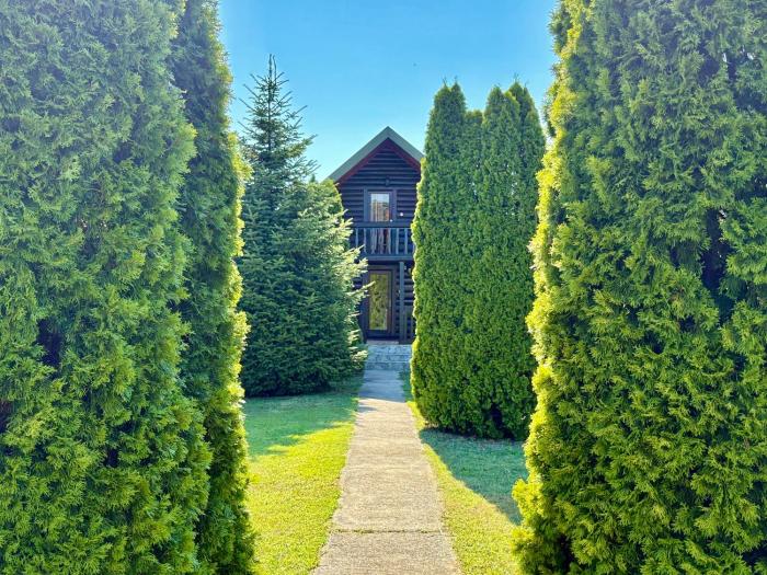 Wooden House - Imanje Terzic