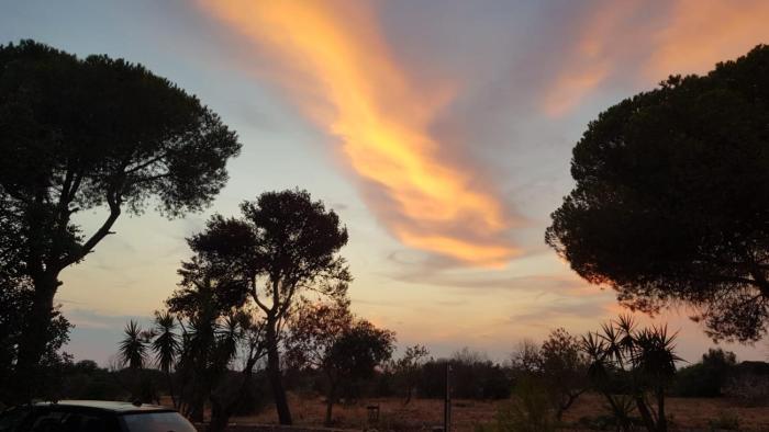 Ninfeo - Villetta Vista Mare tra Ulivi nel Salento