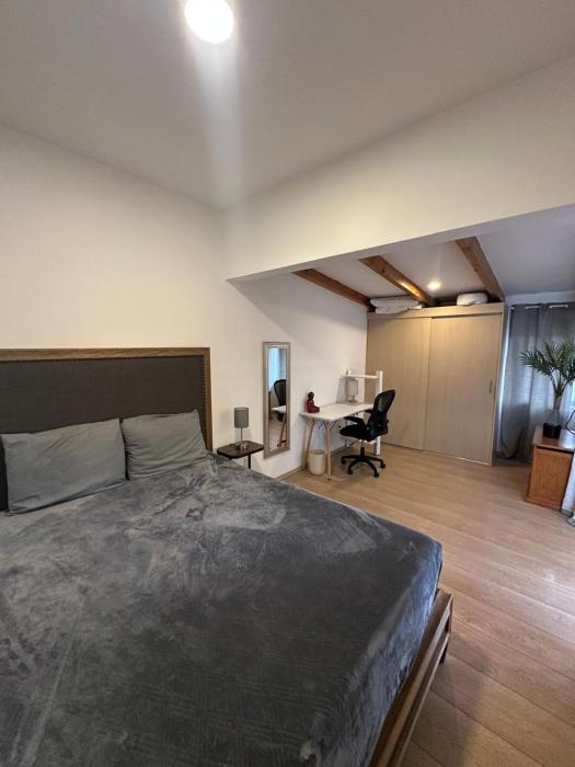 Charming apartment with balcony in Condesa