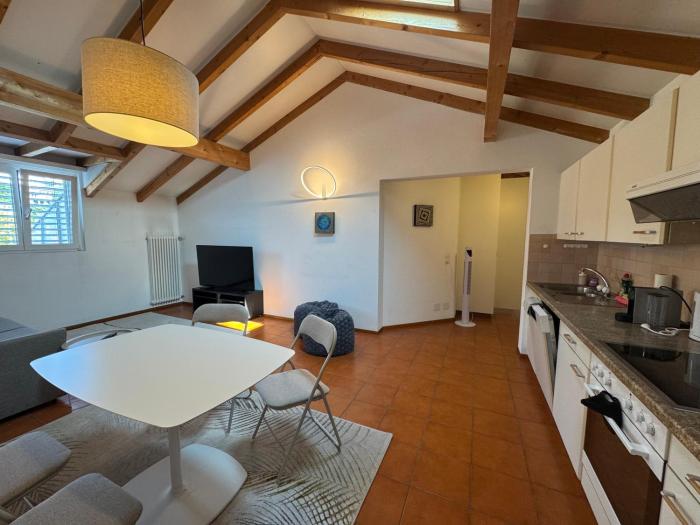 Special apartment in Ascona