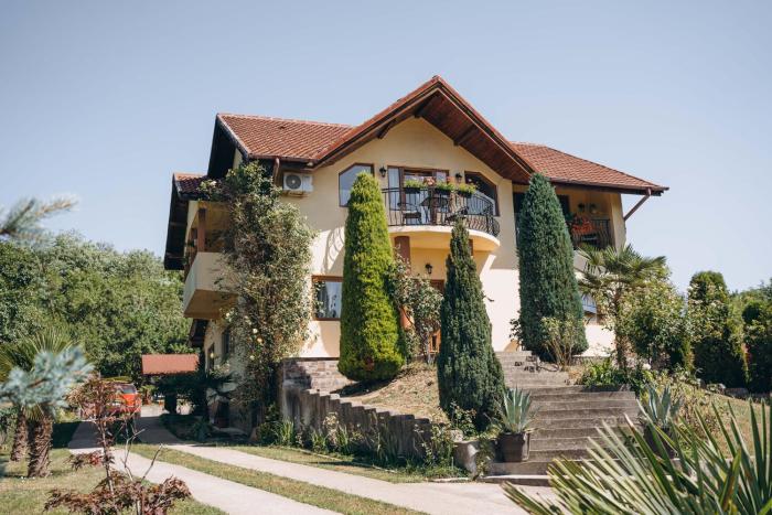 Casa cu Palmieri