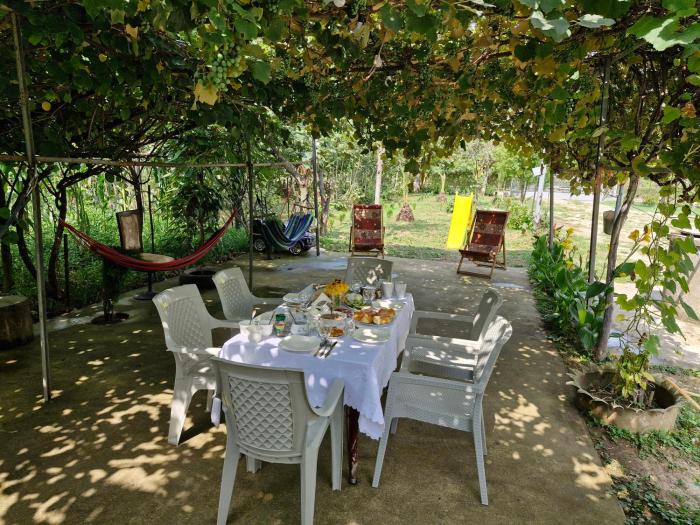 Green Palms-მწვანე პალმები