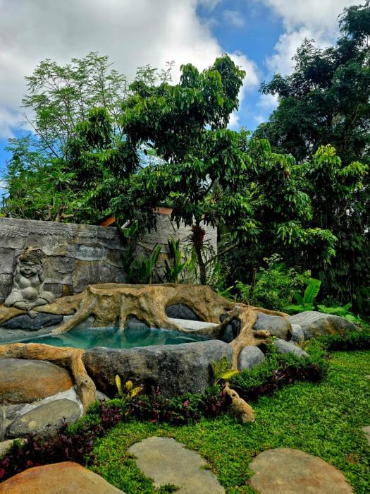Royal Amertha Ubud Jungle View