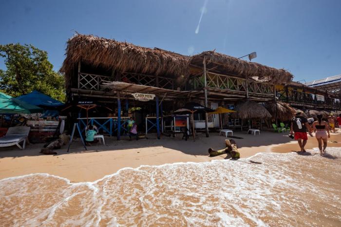 CARDUMEN Arte y Cocina