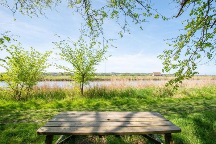 Duynhof nabij Strand, duinen, bos en stad - 5 personen