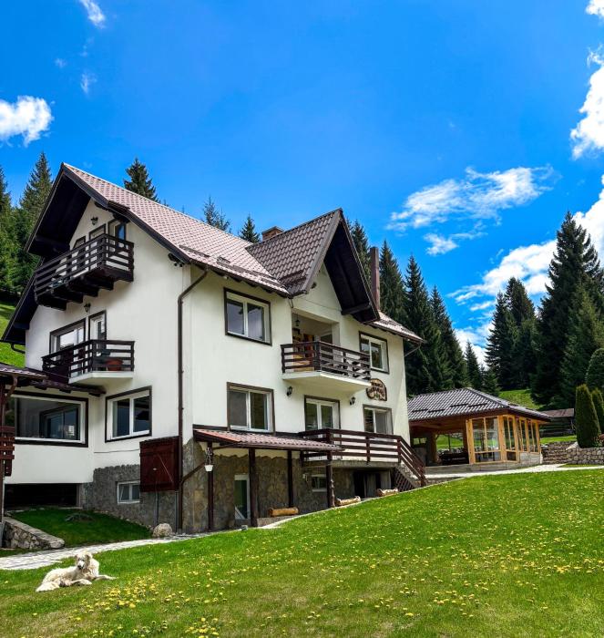 Pensiunea Poienita Ursului