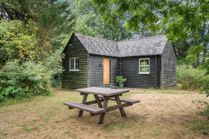 Peaceful lodge in New Forest with garden