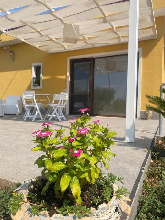 Villa Trellame - Casa vacanze tra gli ulivi