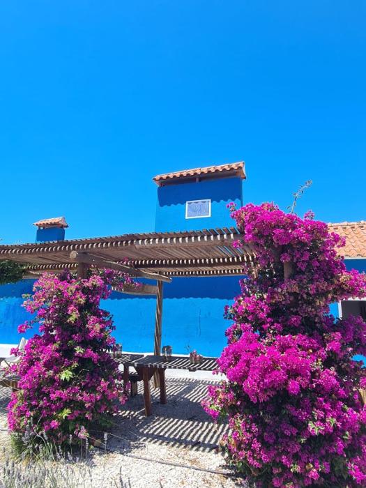 CasAzul Slow Stay in Nature