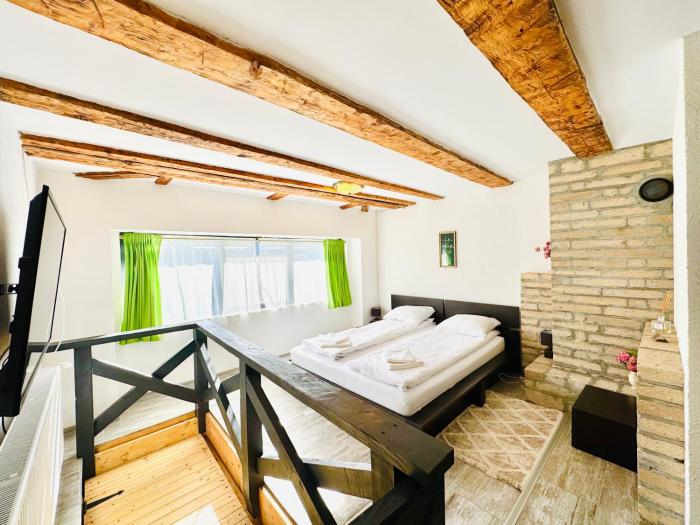 Vila Eruga- Apartament 5