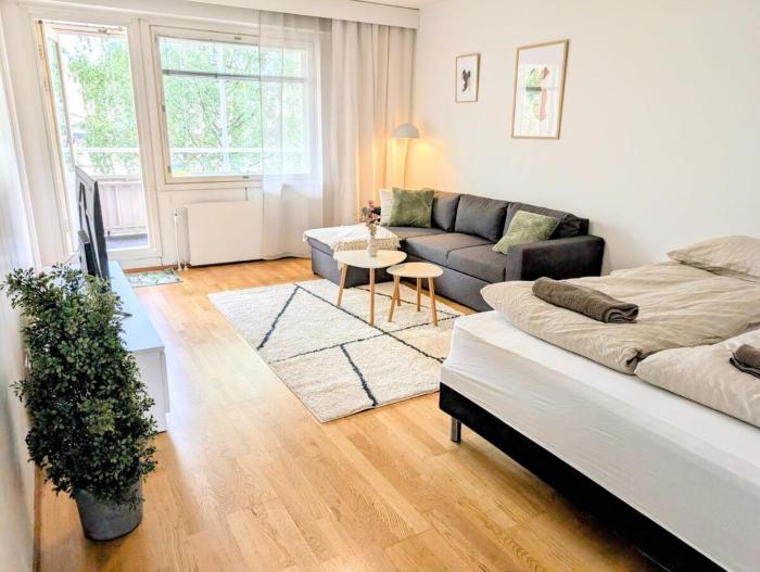 Nice and cozy city apartment, free parking