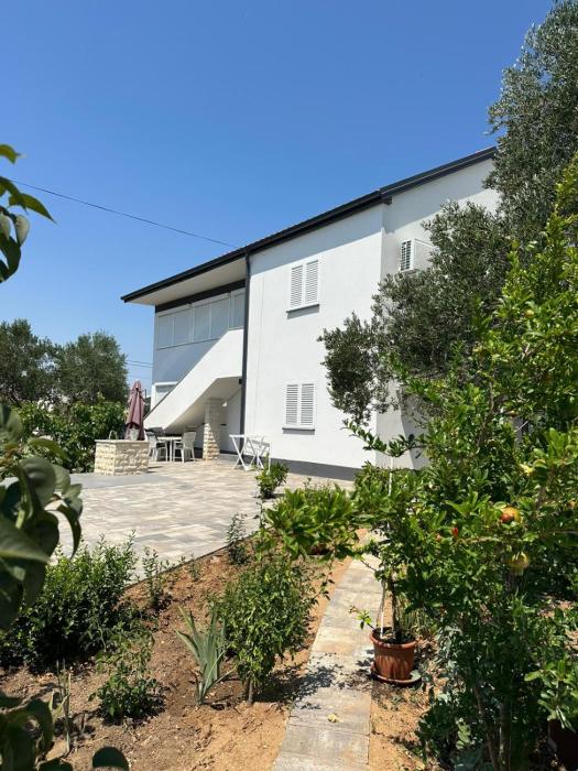 Apartment Oblak